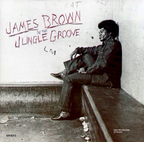 In the Jungle Groove by James Brown